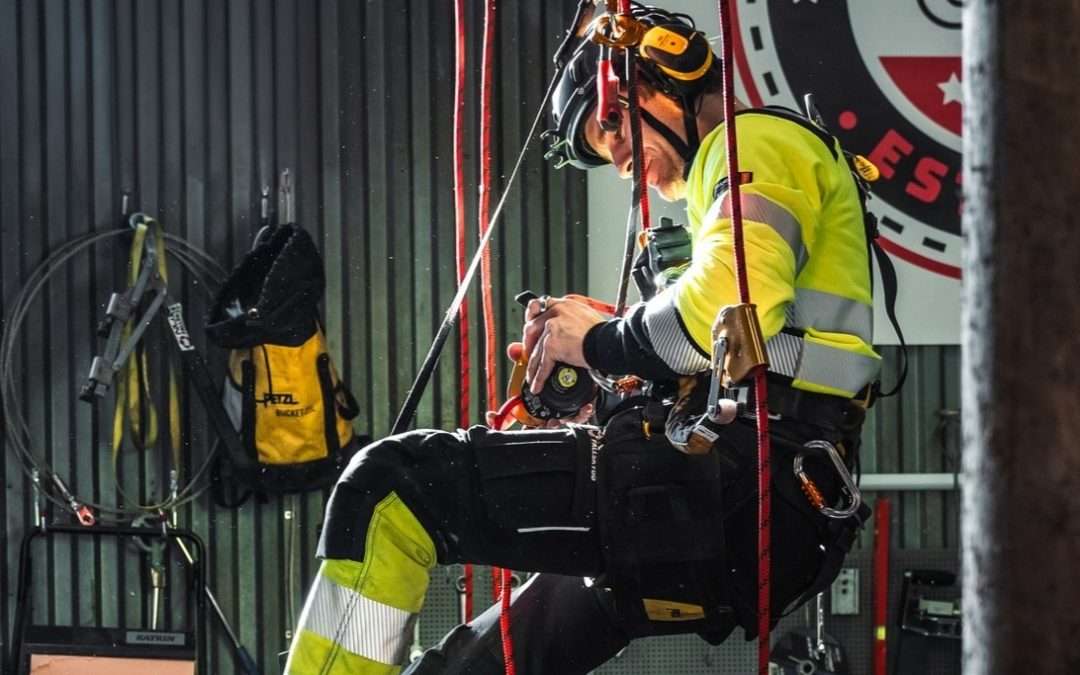 Rekrytering – Ytterligare en på plats!